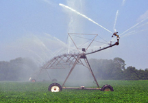 Irrigating Crops